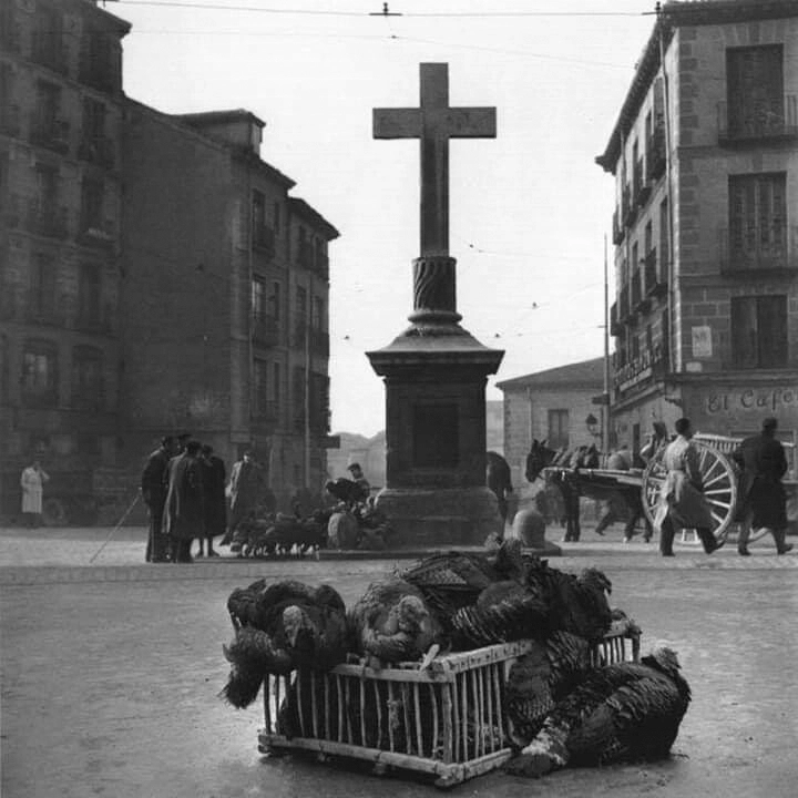 Venta de pavos en la Plaza de Puerta Cerrada, Madrid, a principios del siglo XX