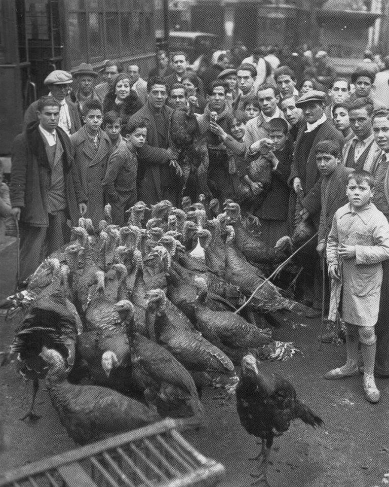 Venta de pavos en un mercado de Madrid a principios del siglo XX